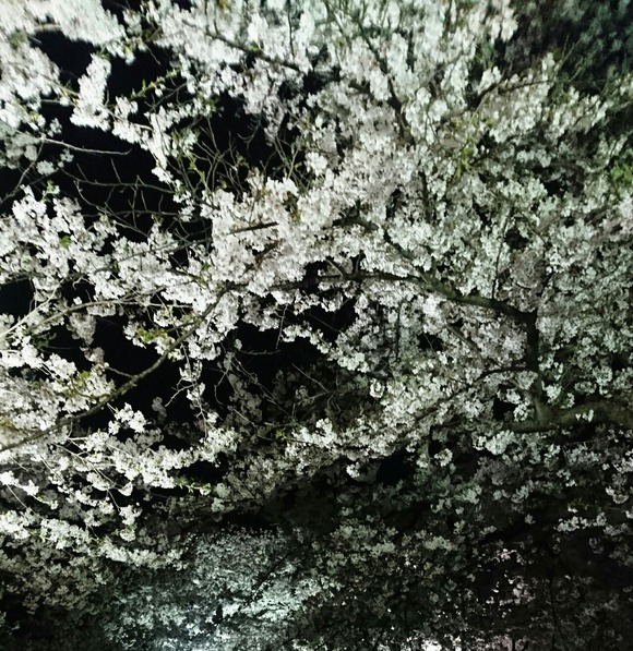 _20190425_230752