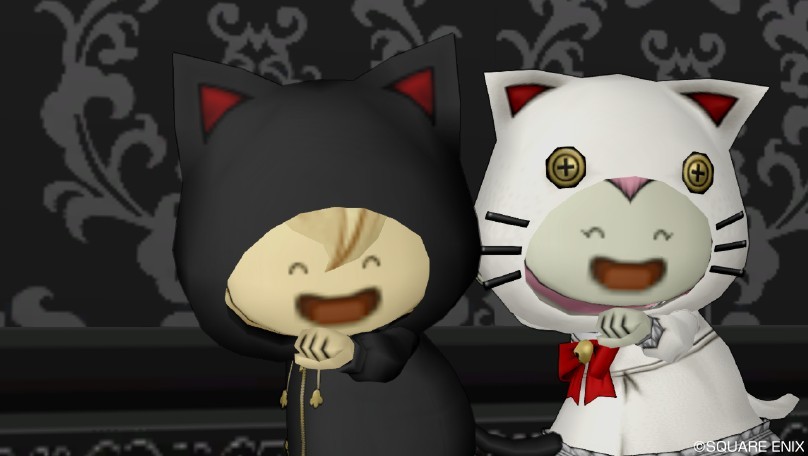 お試し！白猫・黒猫セット : ドラクエ10攻略ブログ 大魔王からは