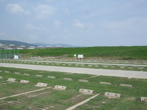 dei 023