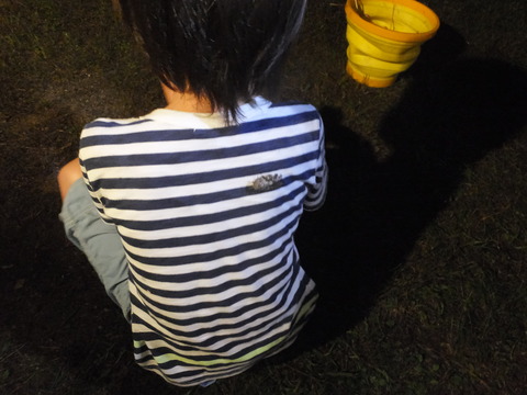 DSCF5539
