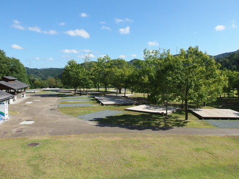 P7312383