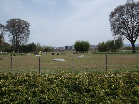 画像 302