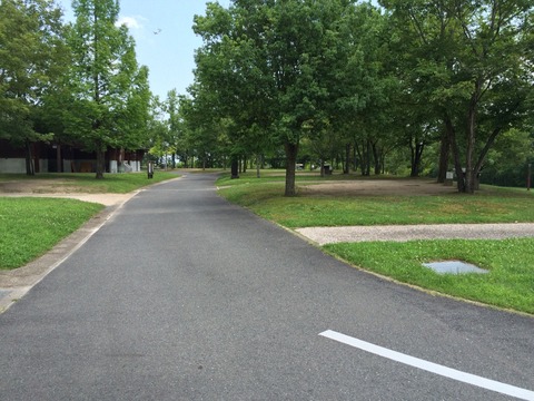 2015-08-04-12-23-26