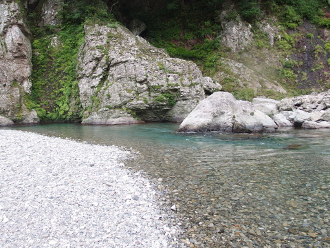 P8072497