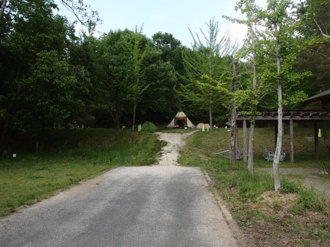 P4301849
