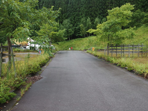 P8152812