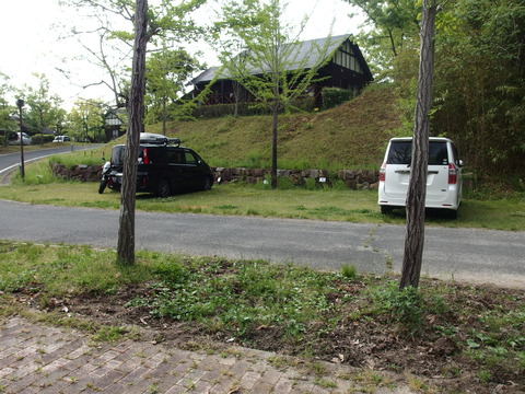 P4301848