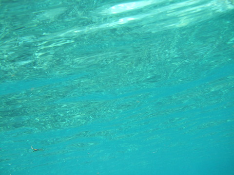 miyama 049