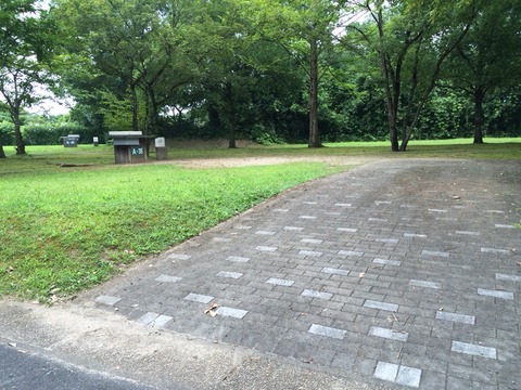 2015-08-04-12-24-30