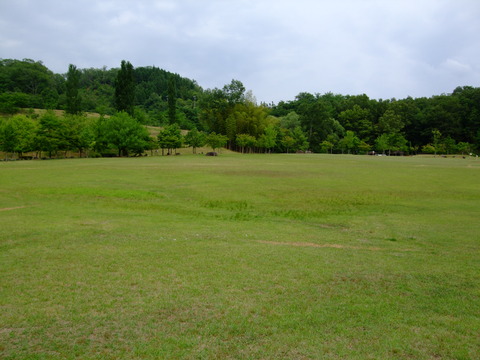 画像 1345