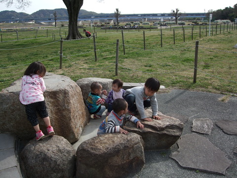 画像 315