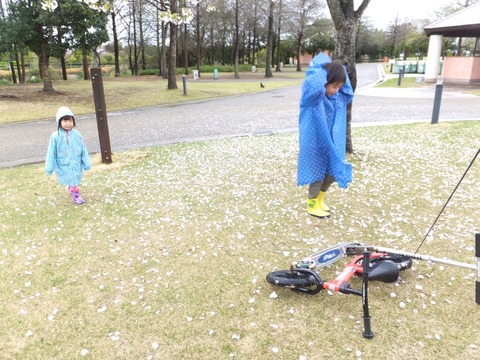 2015-04-07-08-34-24
