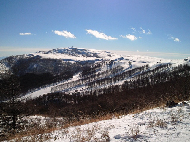 SBCA0046