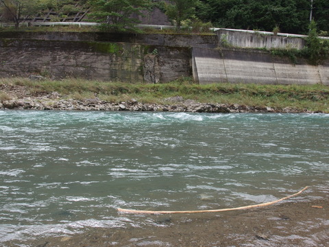 P9172880