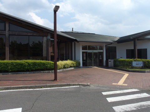 P4301839