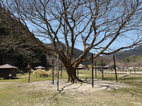 P4040778