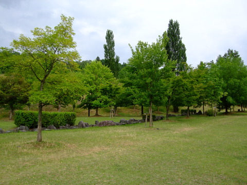 画像 1341