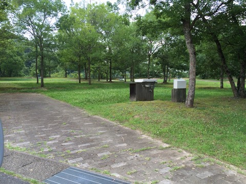2015-08-04-12-19-39