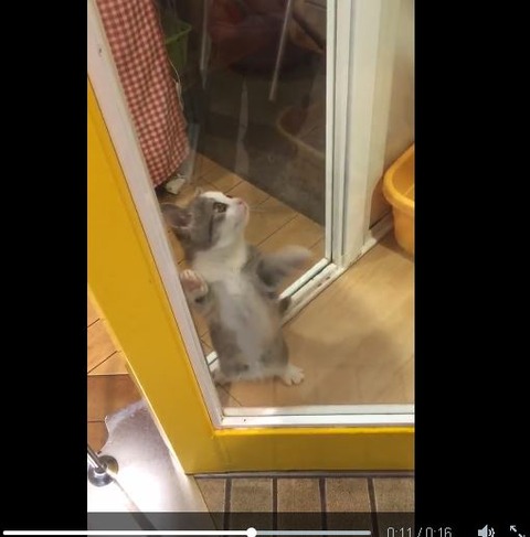 キャプチャ1