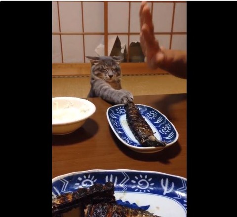 キャプチャ
