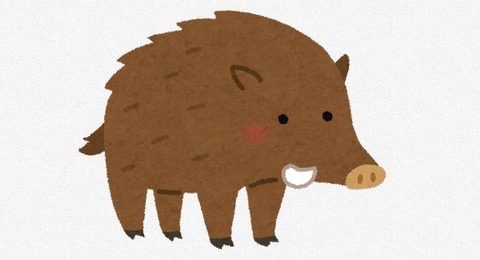 キャプチャ