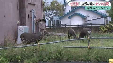 キャプチャ2