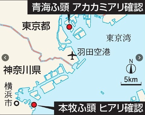キャプチャ