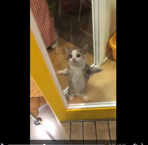 キャプチャ