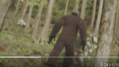 キャプチャ