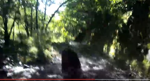 キャプチャ