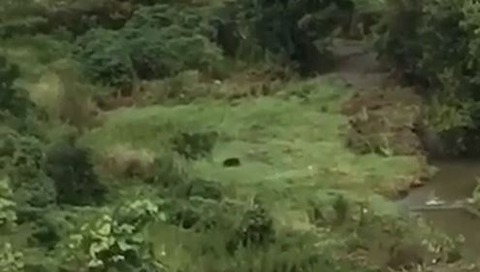 キャプチャ