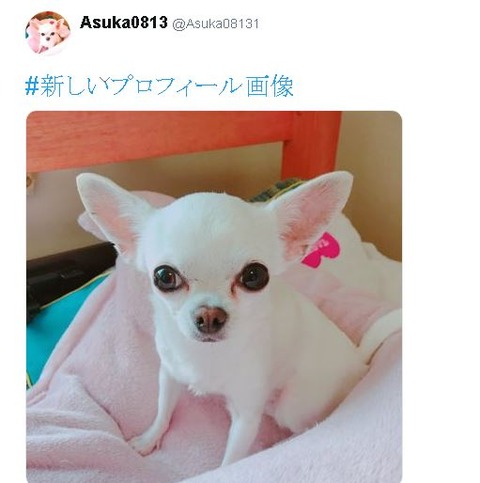 キャプチャ1