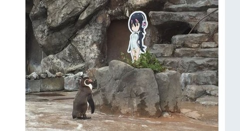 キャプチャ
