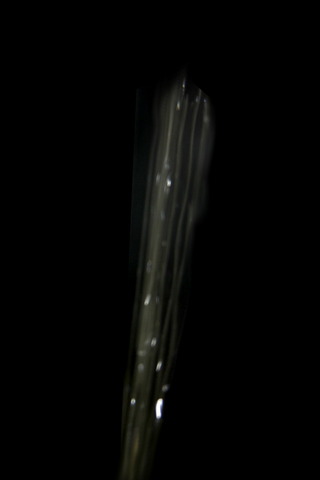 フリー画像 水しぶき