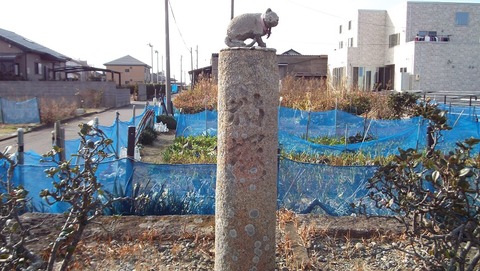 4静岡県御前崎の猫塚の写真
