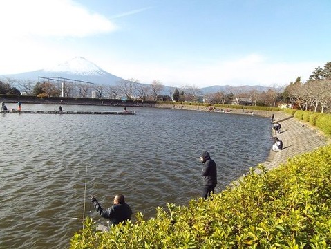 26御殿場市で紅葉狩りと富士山写真 (3)