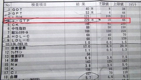 #ブログ写真で血液検査でγ-GTP値が高い検査詳細情報写真