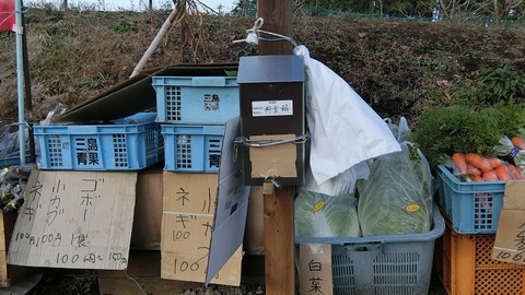 年末年始の無人販売所で野菜 2019(2)