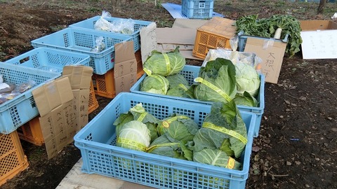年末年始の無人販売所で野菜 2019(3)