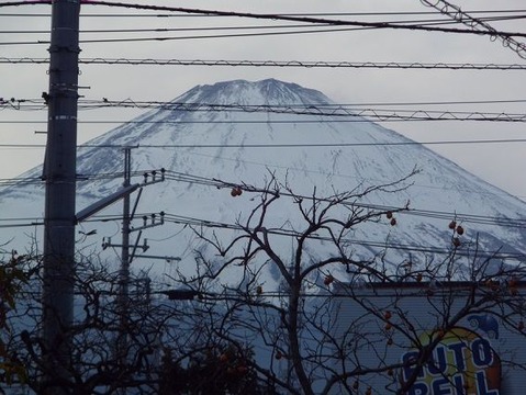 26御殿場市で紅葉狩りと富士山写真 (9)
