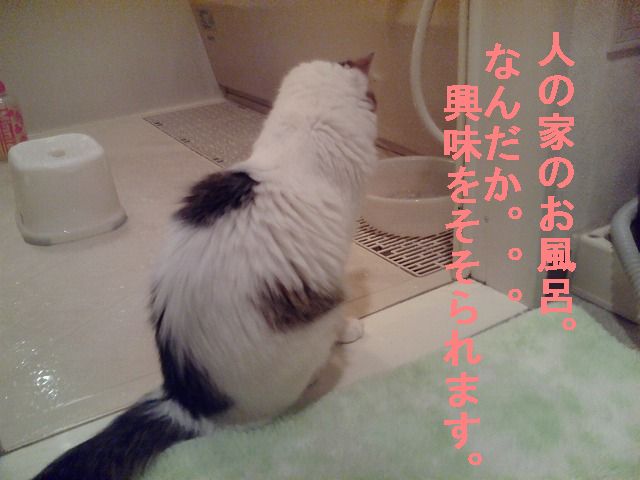 画像 123