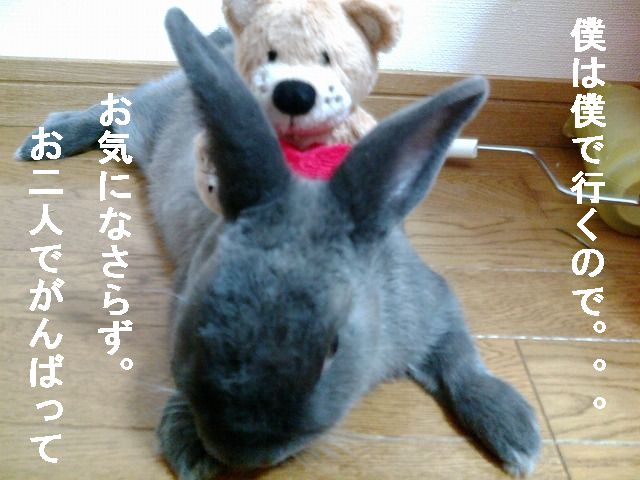 画像 072