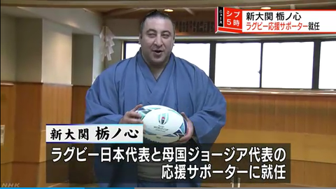 Screenshot-2018-6-1 大関昇進の栃ノ心