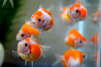 呪われた披露宴。会