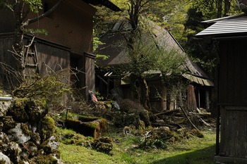 義母の存在が耐