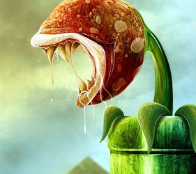 義弟が『焔華』