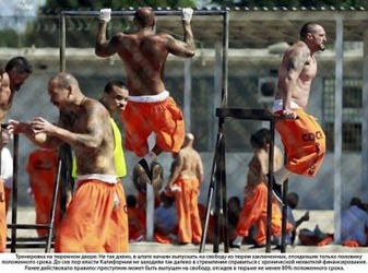 『これで刑務所行きだ。