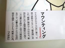 した実母