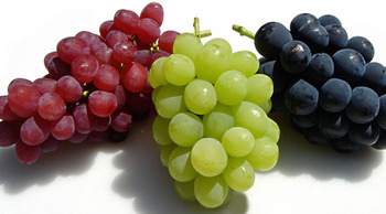 「パクッたブドウがあ