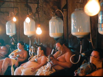 姉の『ボニュウ』を